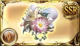 メルヴェイユ