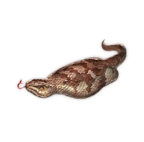 ツチノコ